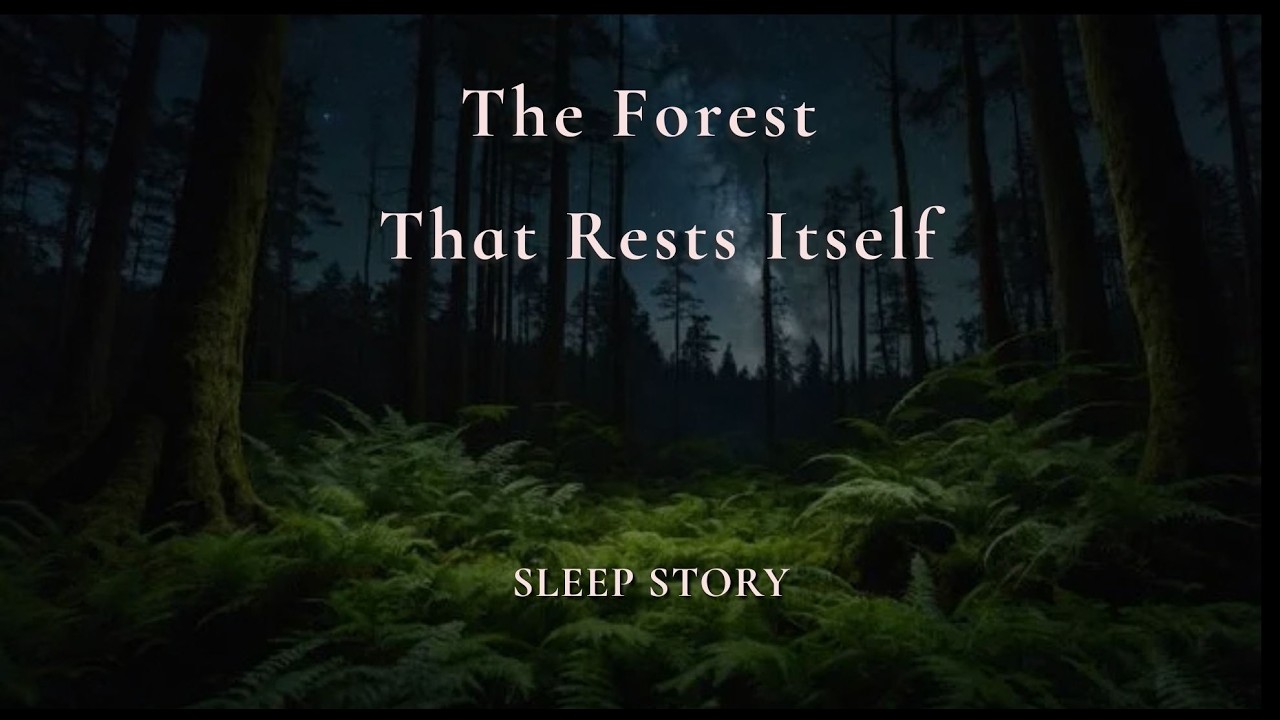 The Forest That Rests Itself | Sleep Story for Grownups