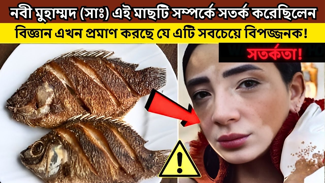 মাছ খাওয়ার আগে 🐟 শুনুন মহানবী হযরত মুহাম্মদ (সা.) কী বলেছিলেন – একটি চাঞ্চল্যকর বৈজ্ঞানিক আবিষ্কার!