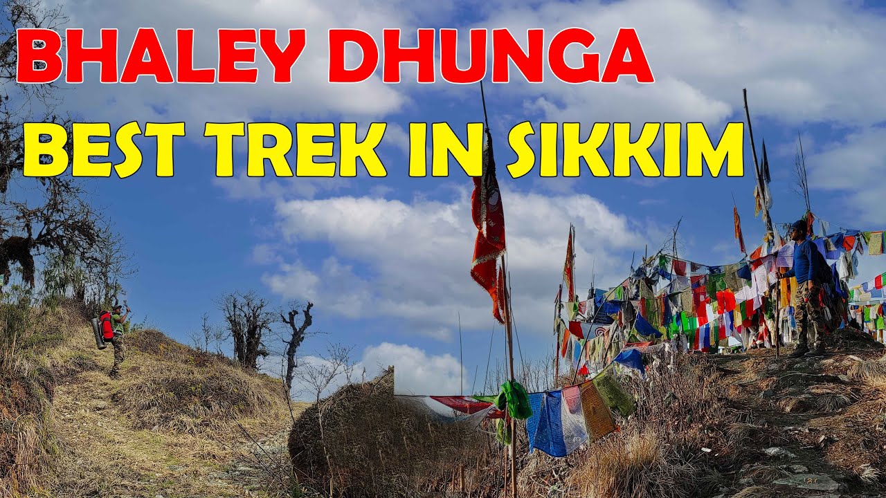 A beautiful walk into the Nautre | Bhaleydhunga trek| south sikkim vlog