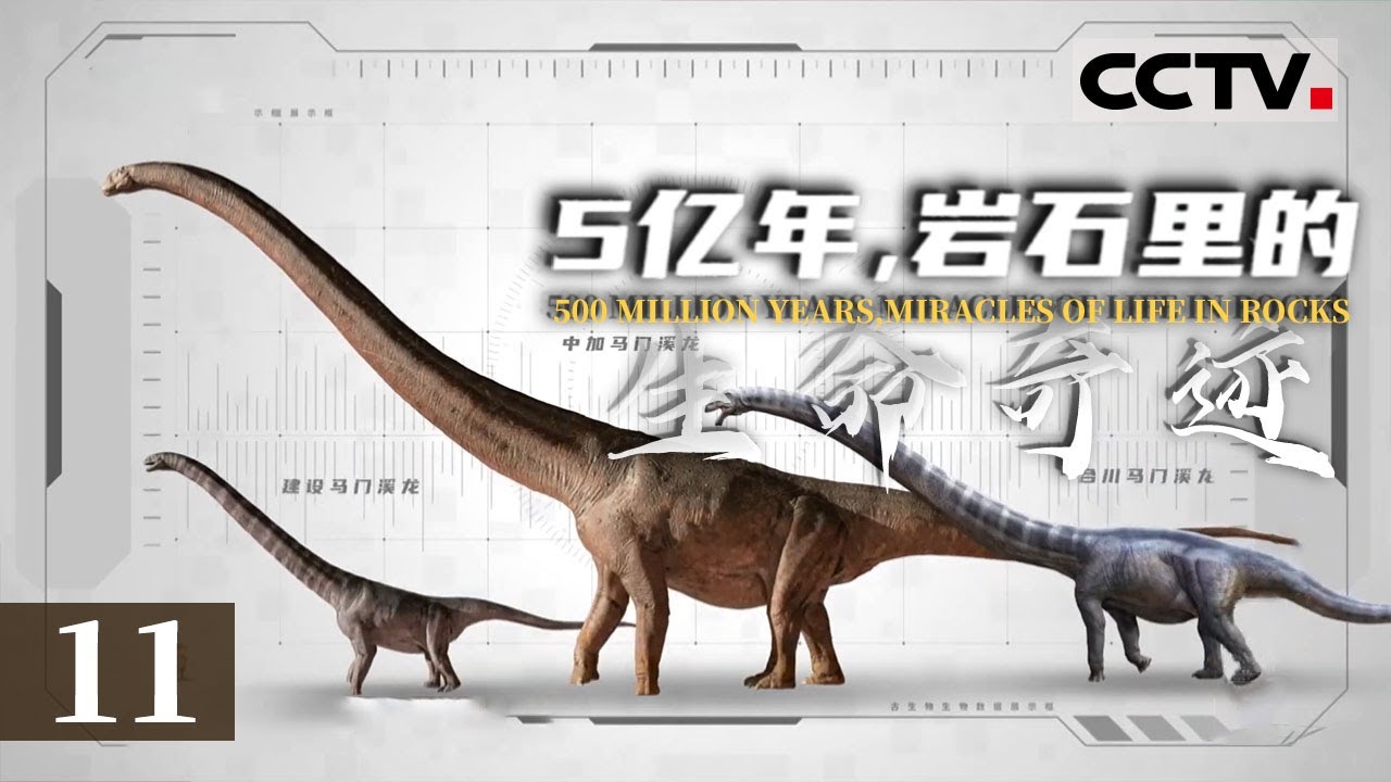 《5亿年 岩石里的生命奇迹》11 “干饭龙”！马门溪龙一天最少吃300千克——马门溪龙【CCTV纪录】