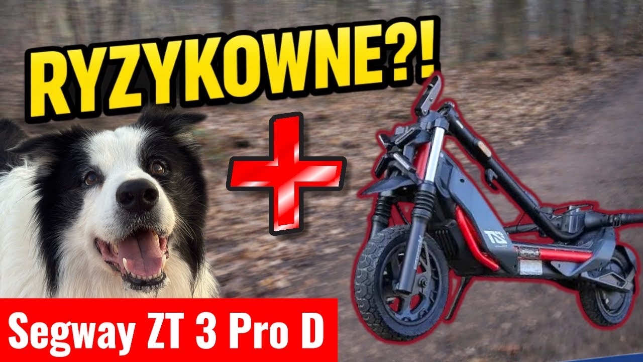 Jazda z psem na hulajnodze – bezpieczne czy ryzykowne? (Segway ZT3 Pro D)