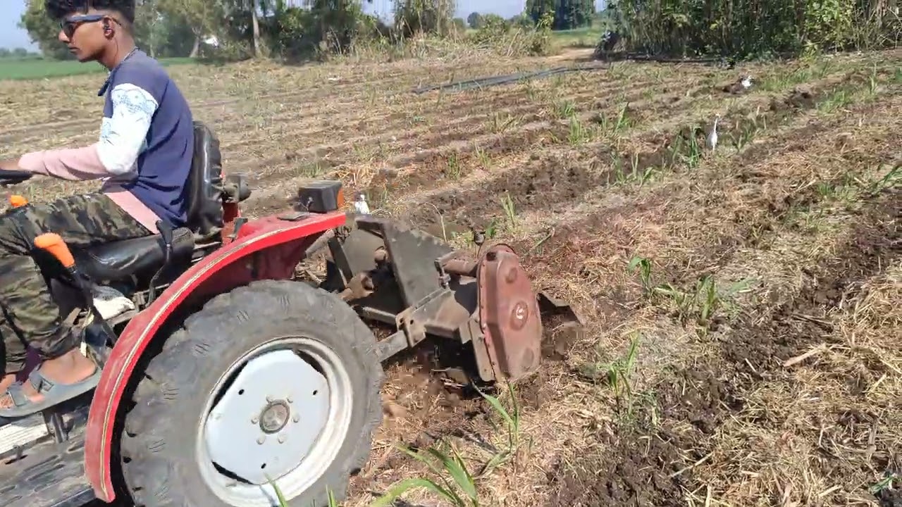 # पाचट व्यवस्थापन पाचट बारीक करणे पाचटाचे खत करणे#agriculture 