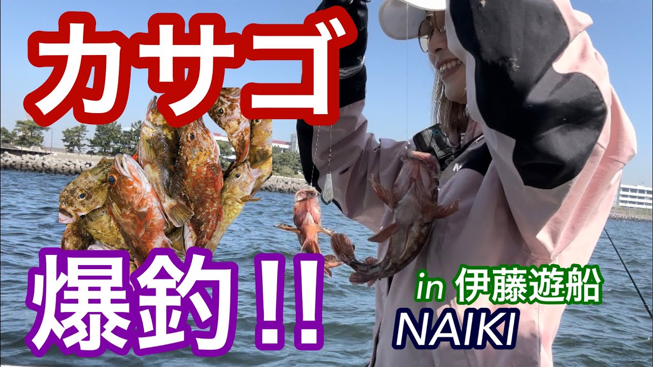 【カサゴ釣り】東京湾で船釣り！カサゴ爆釣しました。in 伊藤遊船 NAIKI【初心者の方も必見】