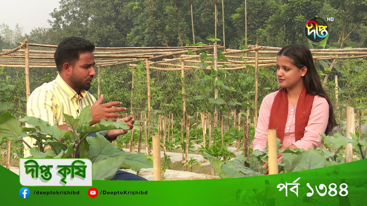DEEPTO KRISHI || বগুড়া শিবগঞ্জের একজন সফল উদ্যোক্তা সামিউল ইসলাম || Deepto TV