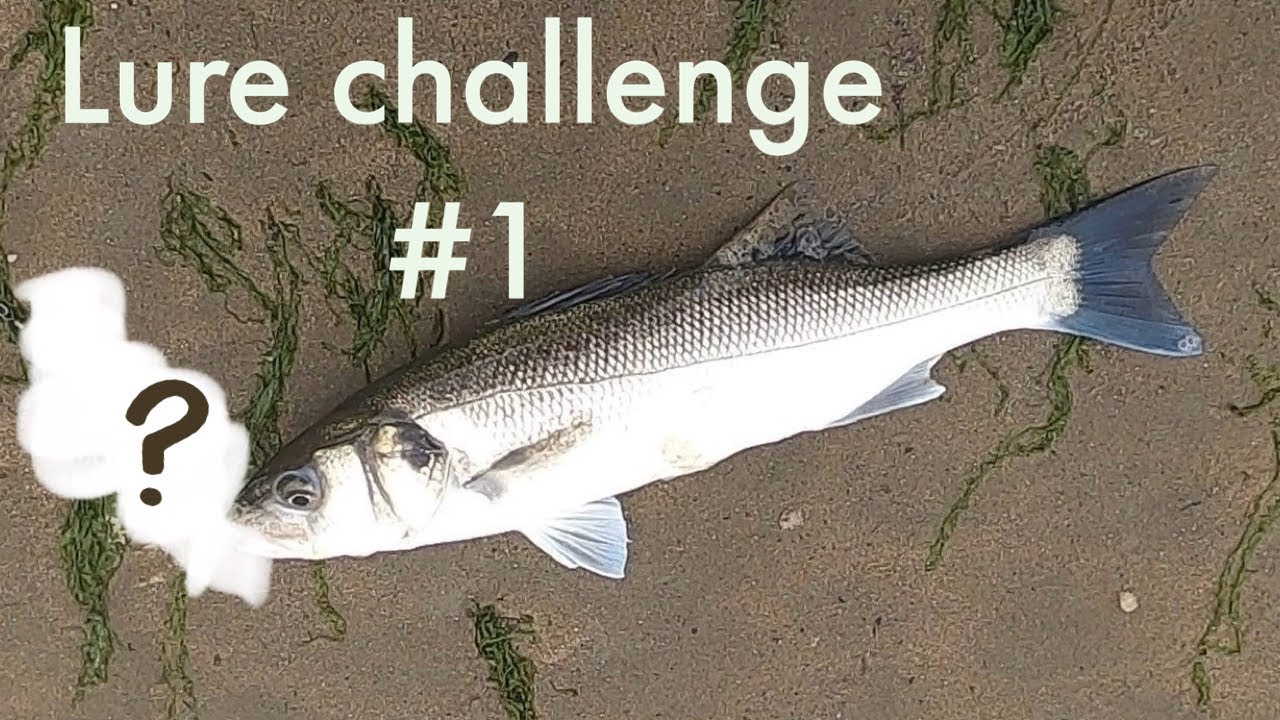 Lure challenge part 1 | lure fishing for bass