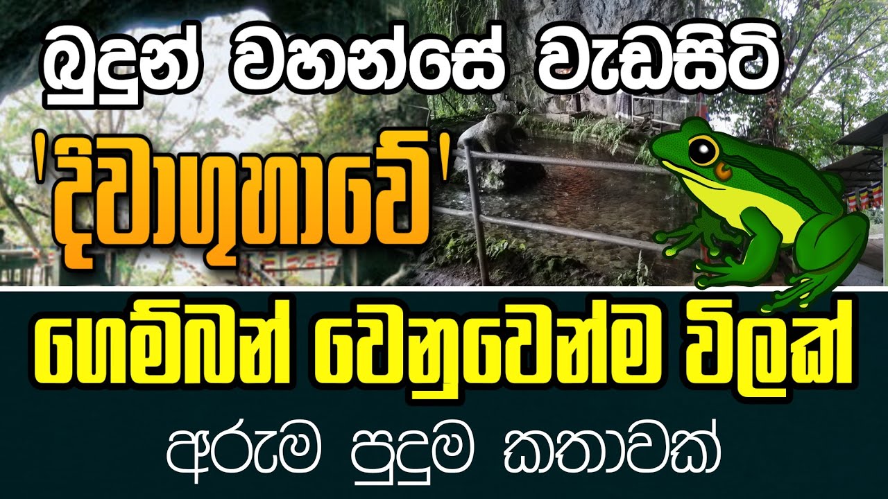 බුදුන් වහන්සේ  වැඩසිටි දිවාගුහාවේ ගෙම්බන් වෙනුවෙන්ම විලක් |Diwaguhawa| - යථාර්ථ │Yathartha│