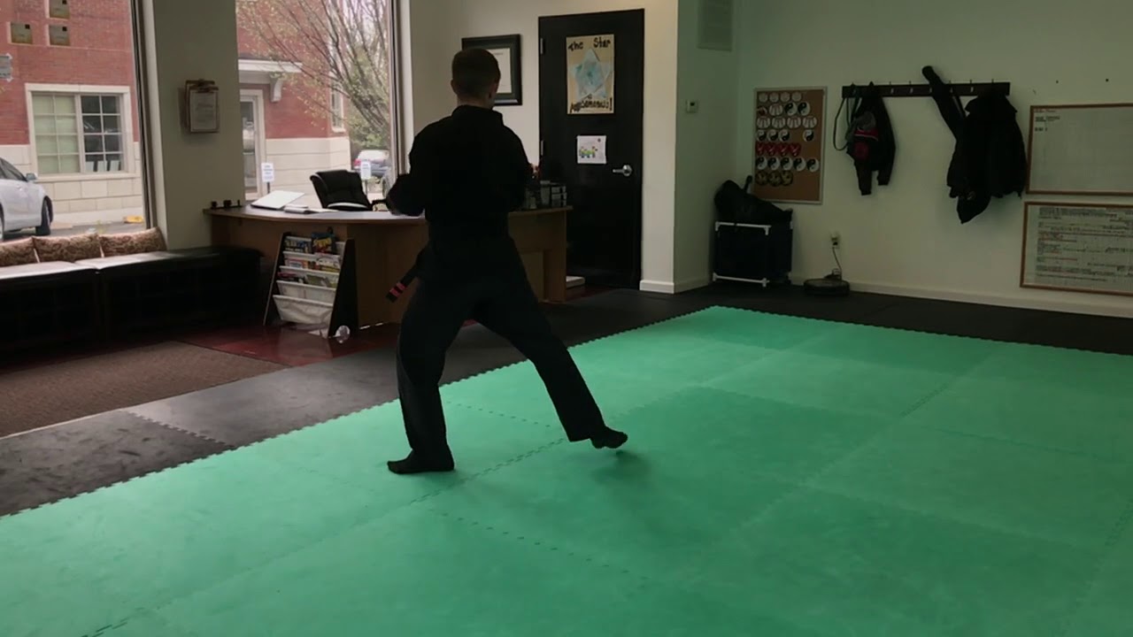 6 Pinan (Statue of the Crane) - Shaolin Kempo | Martial Arts Techniques