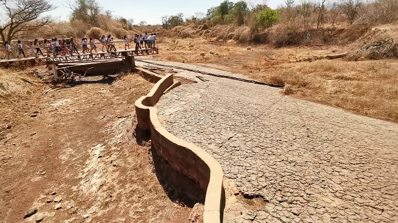 Vale dos Dinossáuros em Sousa PB
