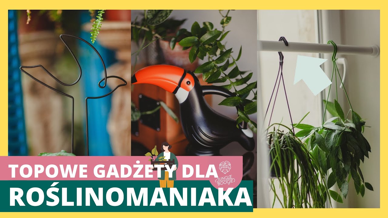Najlepsze Akcesoria Do Roślin 💪🌵🪴 MUSISZ TO MIEĆ 😍💚