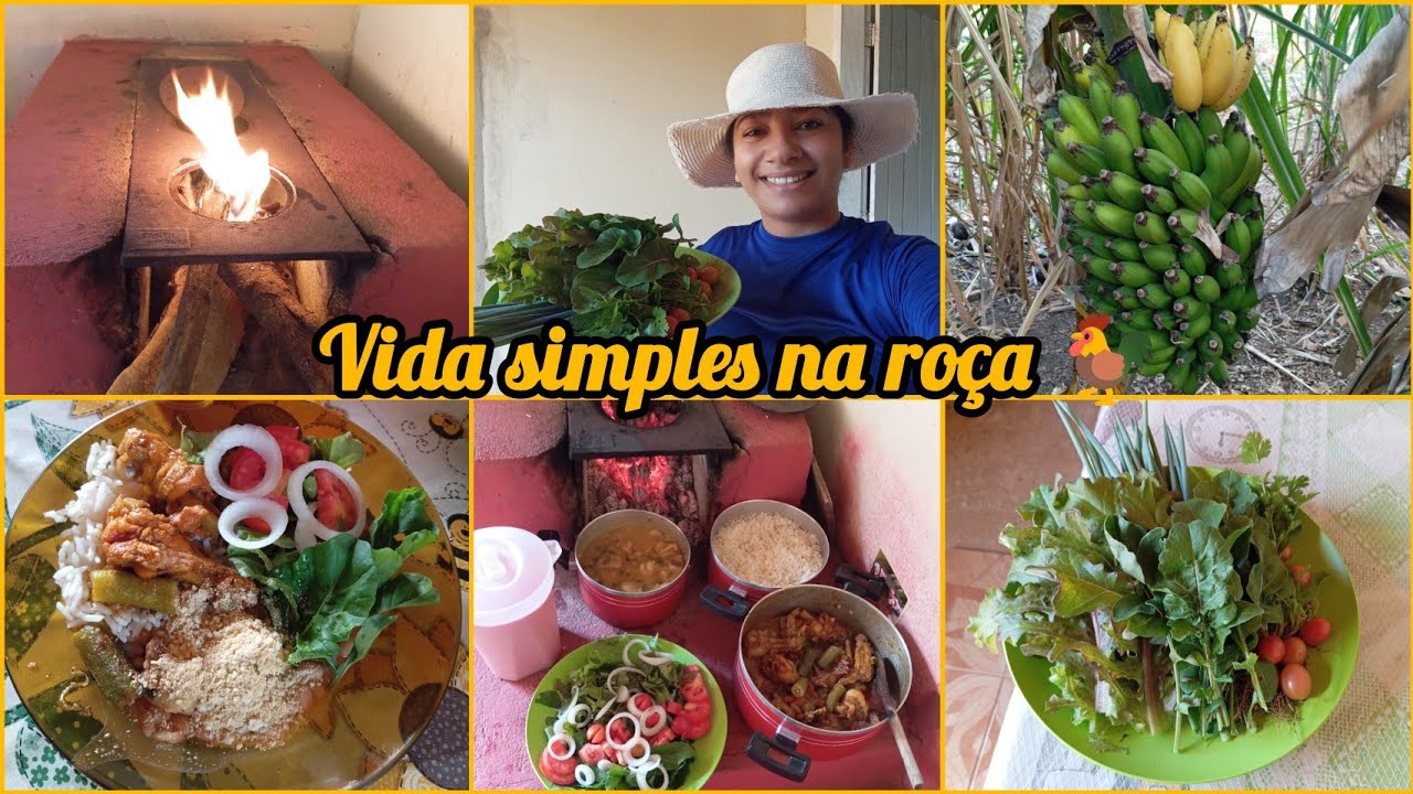 Vida na roça 🌵 almoço no fogão a lenha 🪵 colheita na horta 🥗 cuidando dos animais 🐓🐕🐥🦬