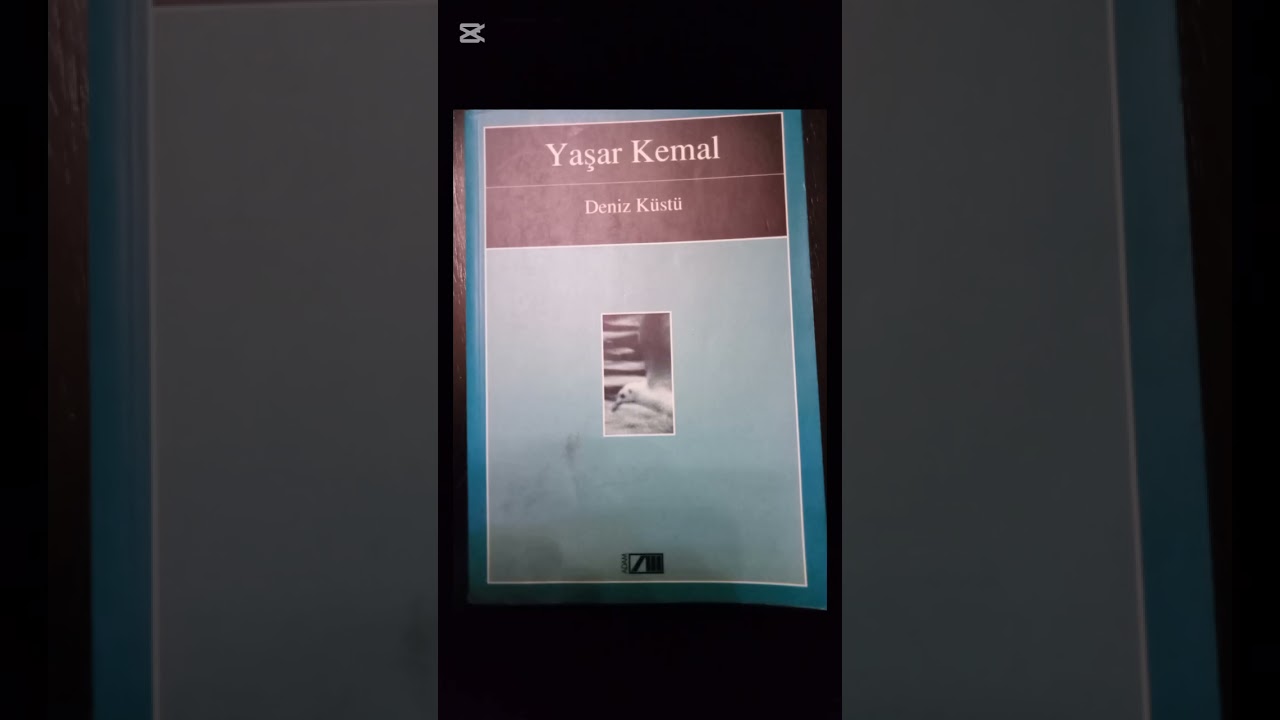 YAŞAR KEMAL- DENİZ KÜSTÜ- 30. BÖLÜM- TURGAY AKPINAR'IN SESİNDEN 