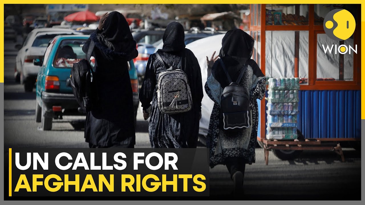 UN Discusses Afghan Human Rights, Urges Women's Work Ban Lift