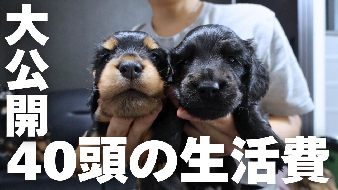 ブリーダーが愛犬の生活を考えた結果がやばい