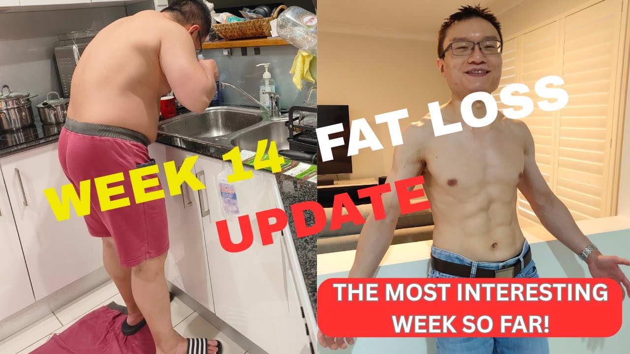 Week 14 Fat Loss Update
