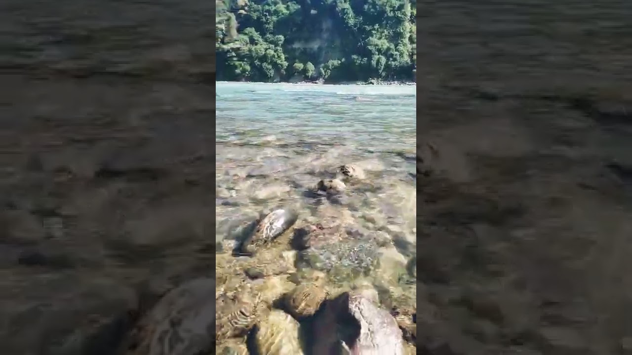 Ganga river very clean water Rishikesh #short #shortvideo #youtubeshorts