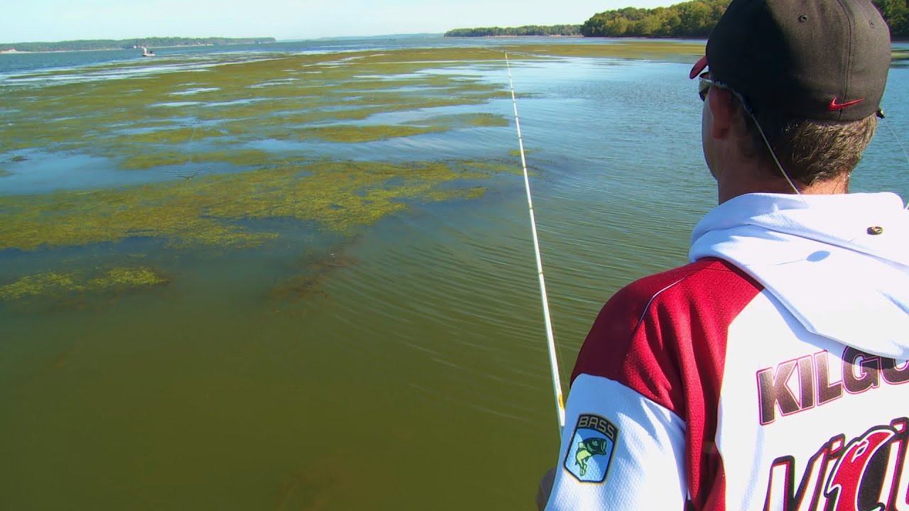 Tips to Find & Catch Fall Bass on Frogs