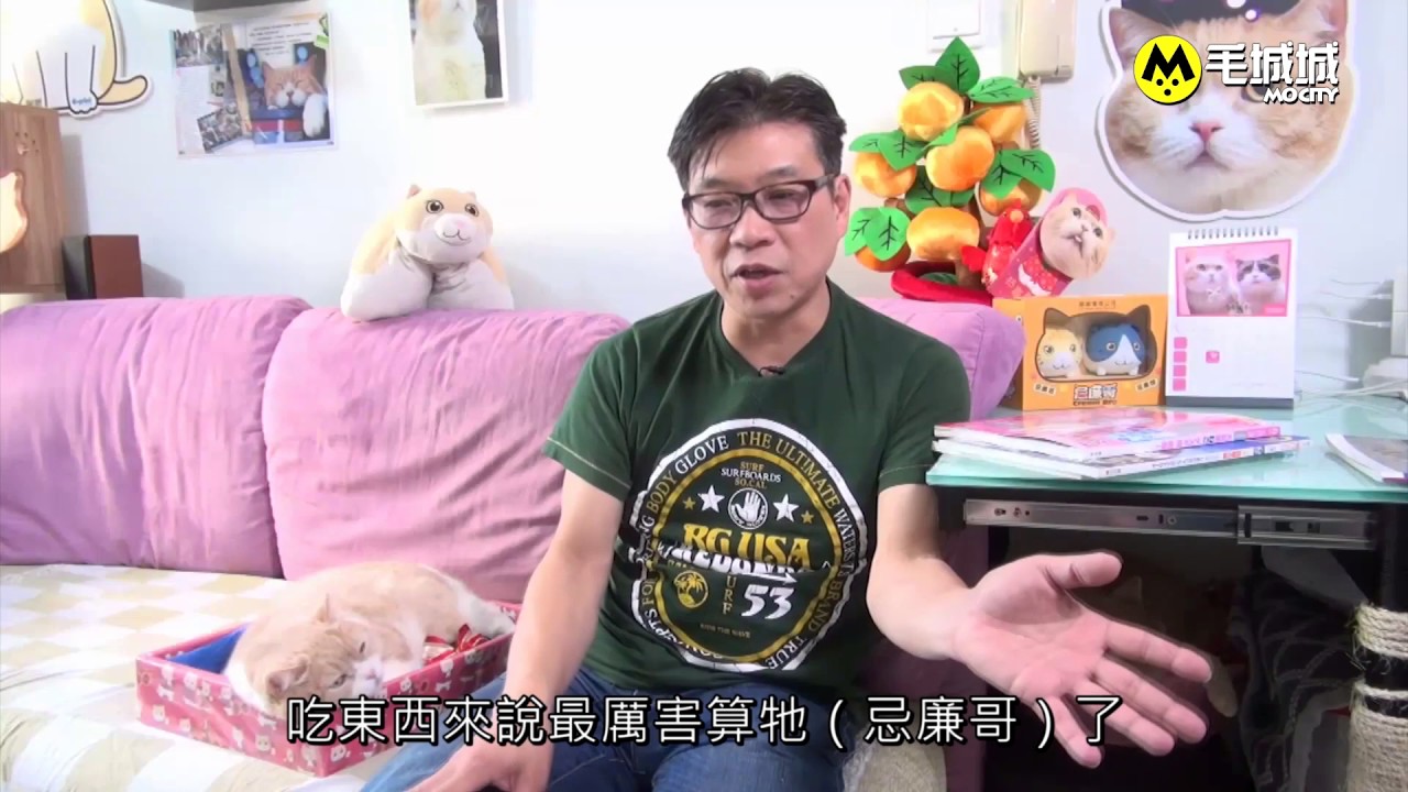 【星級寵物店長】忌廉哥的退休生活
