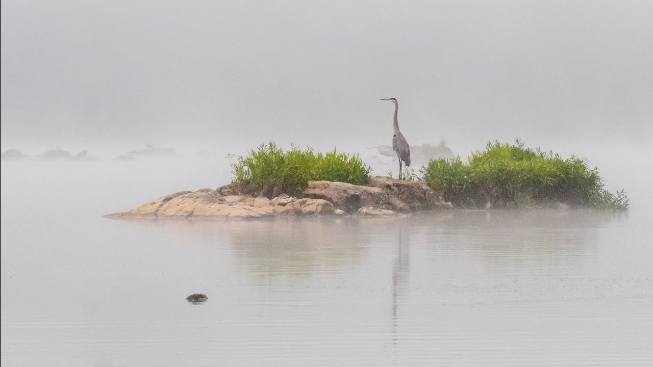 Meditation: Relax, Arrive and Rest in Presence (27') with Jonathan Foust