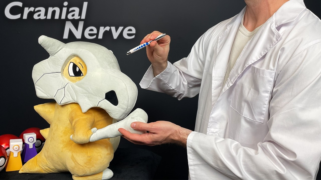 Relaxing Cranial Nerve Exam on Your Cubone | Pokemon ASMR