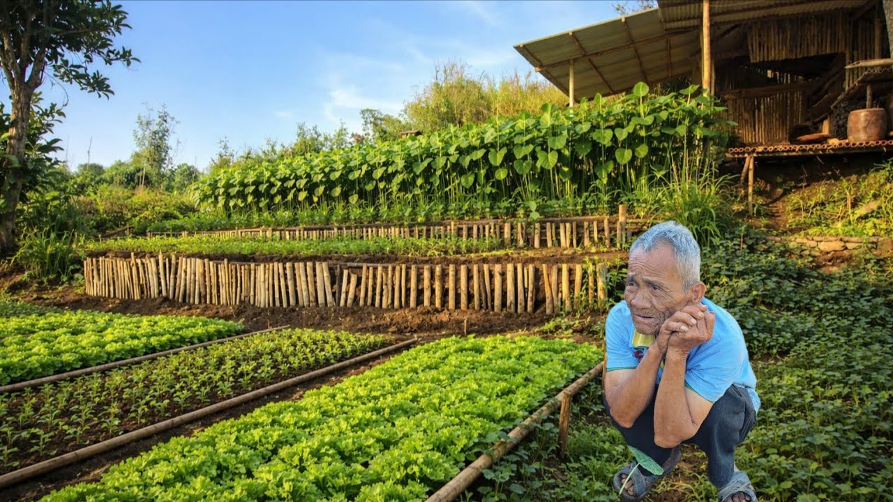 100 Days To Rebuild An Abandoned Farm &mdash; 87-Year-Old Grandpa Starts From Nothing
