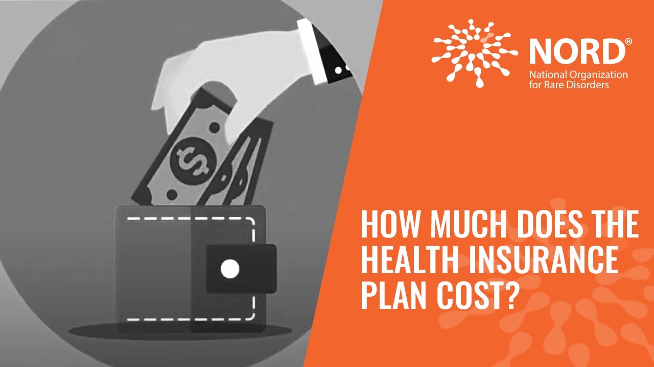 How Much Does the Health Insurance Plan Cost?