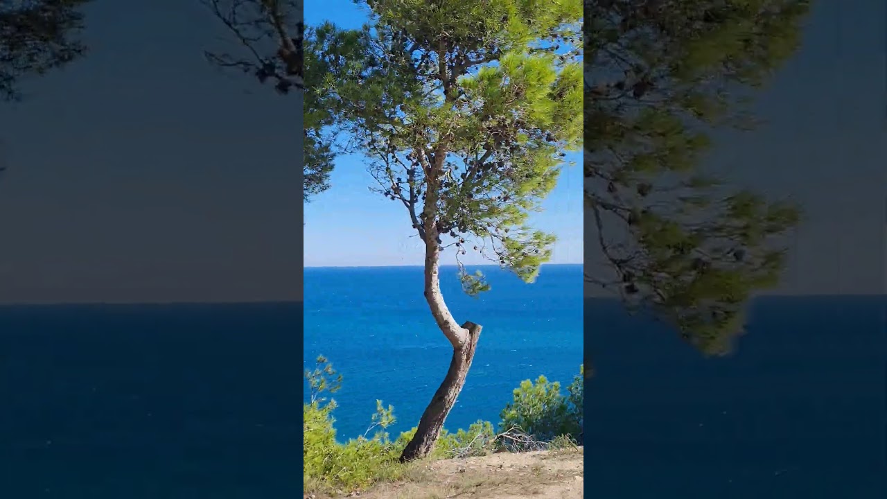 Falaise de Leucate (La Franqui) #aude #occitanie #occitanietourisme #mediterranee