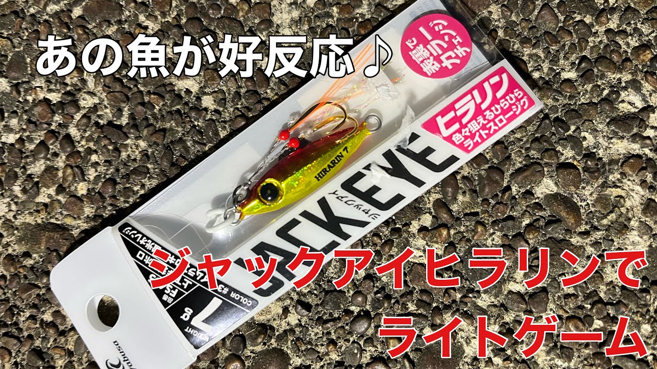 ジャックアイヒラリンでライトゲーム♪あの魚が好反応！