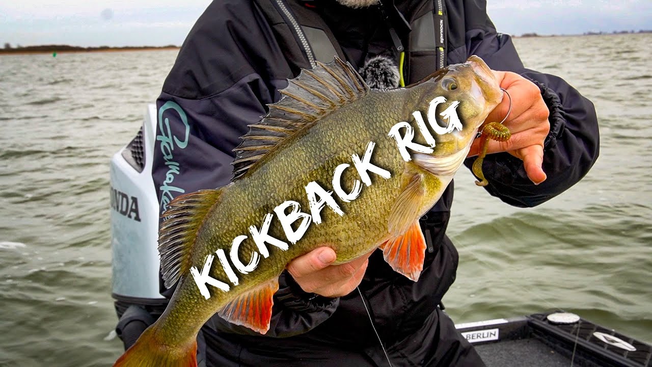 Das Kickback-Rig | Montage & Führung