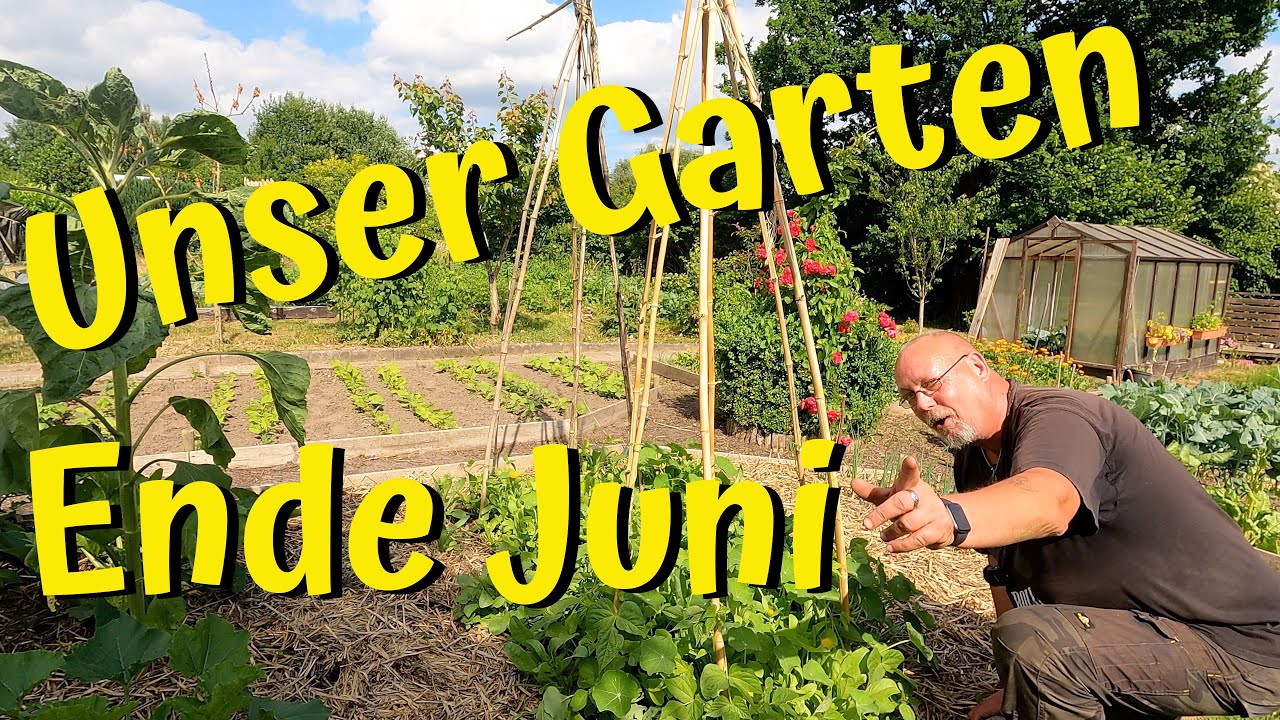 Unser Garten Ende Juni / von Mutationen, einem Härtefall, einem Heckengast und einer Überraschung