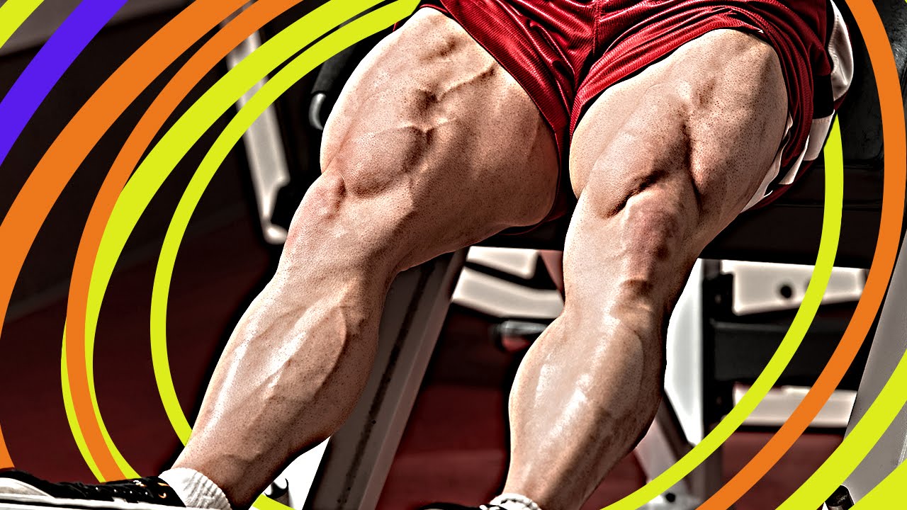 The Top 5 Best Leg Exercises