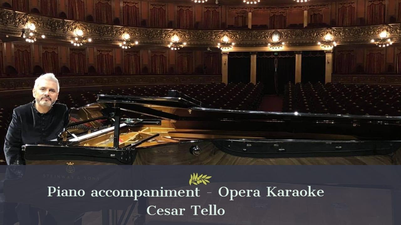 “Dio, che nell’alma infondere” - Don Carlo - Verdi