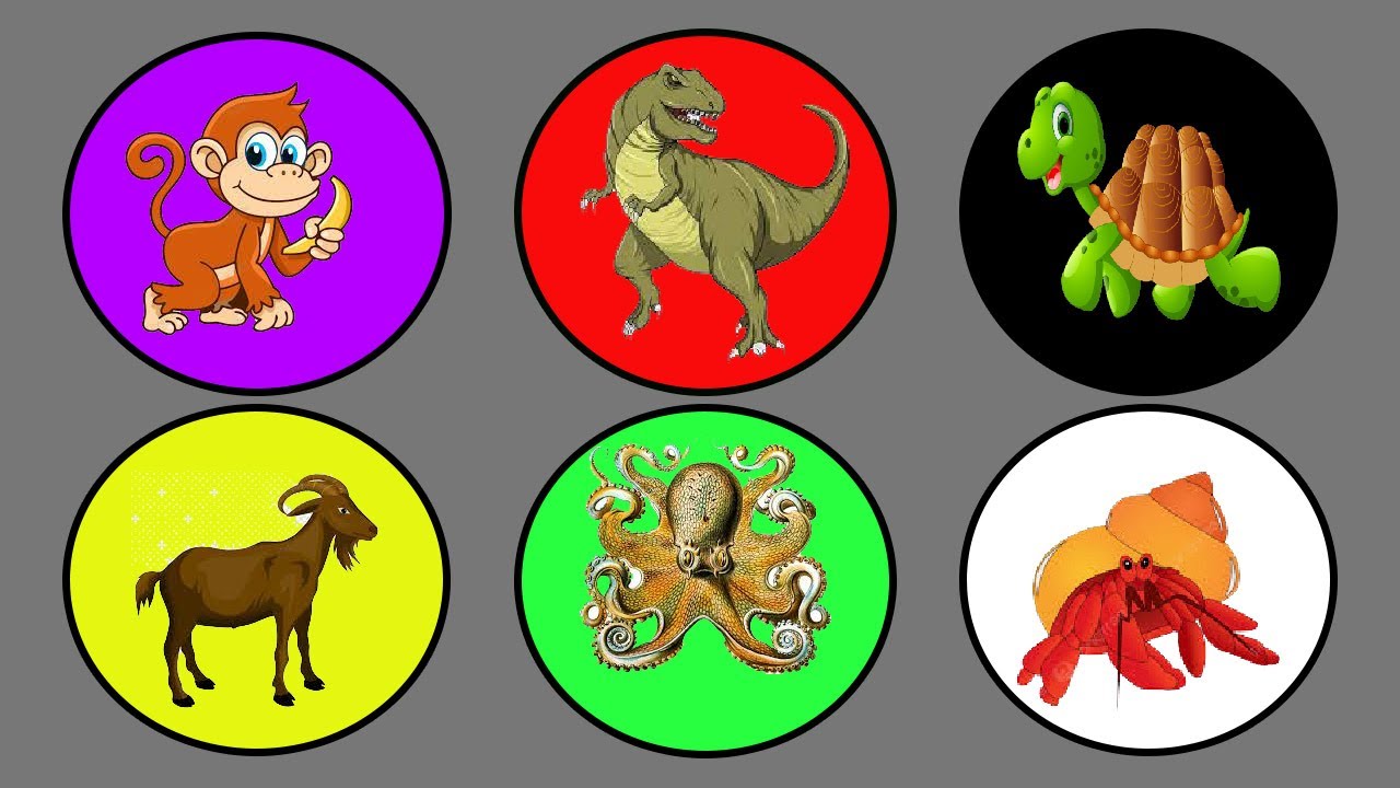 SPIN WHEEL HEWAN SAP, MACAN, SPINOSAURUS, GAJAH, T-REX, KANGURU23