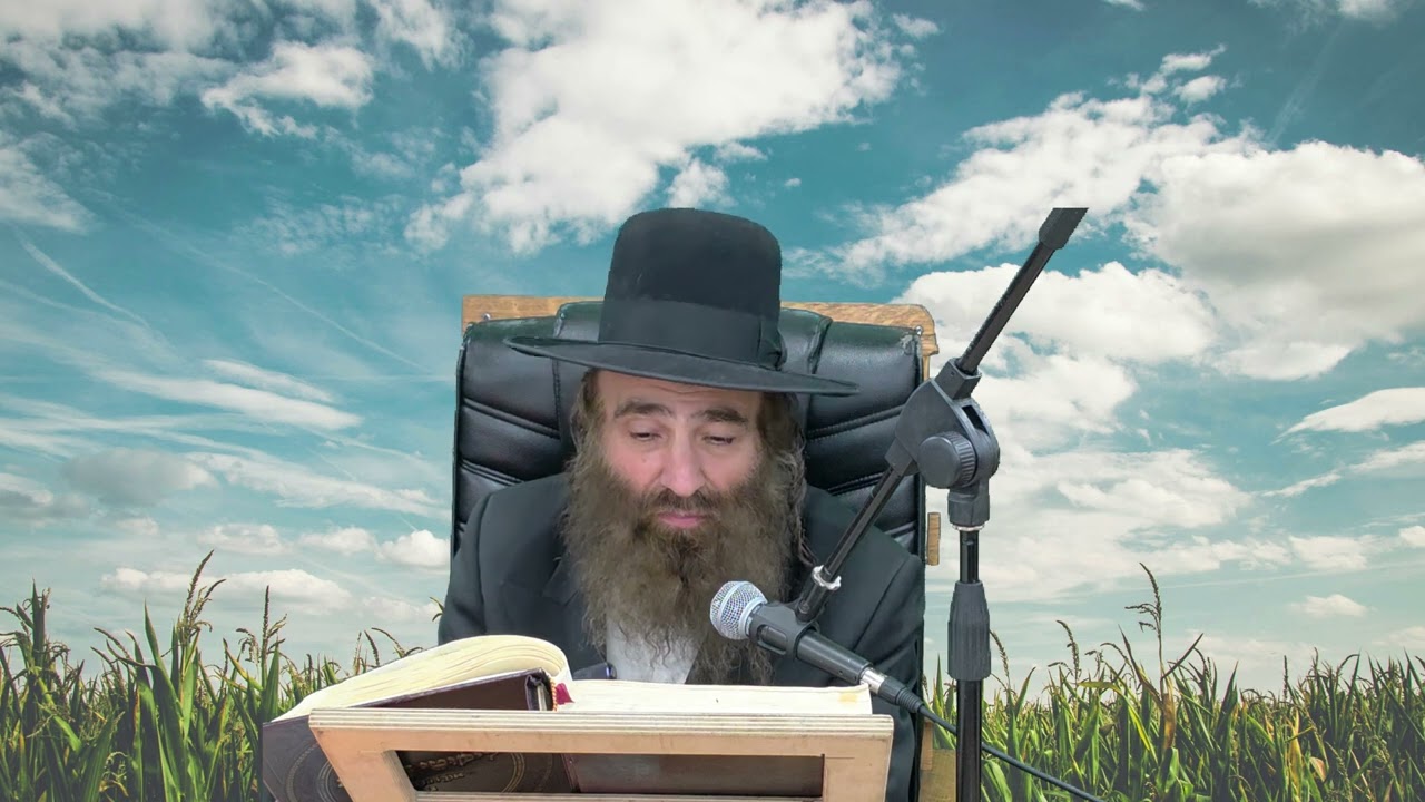 כולם רוצים טוב | הרב שלמה עופר שליט