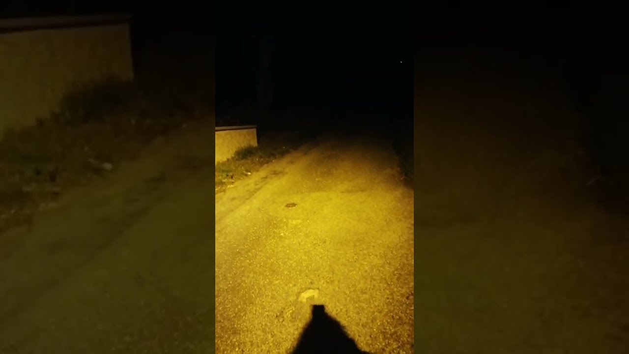 عيد مبارك عليكم إخوتي في الله 🕊️ 🌍 و كل عام يجدكم في أحسن صحة و سلامة