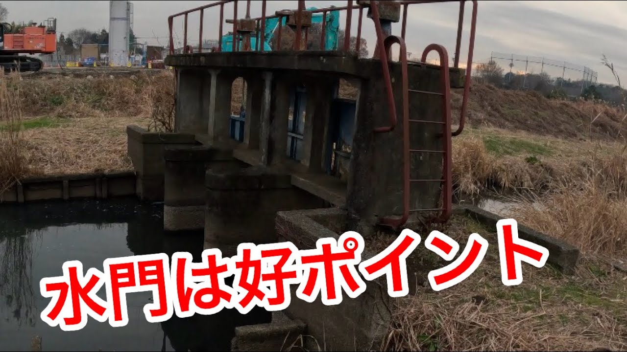 「水門は好ポイント」　#原市沼川　#小物釣り
