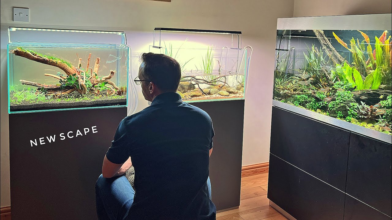 NEW HOME AQUASCAPE - VLOG TUTORIAL