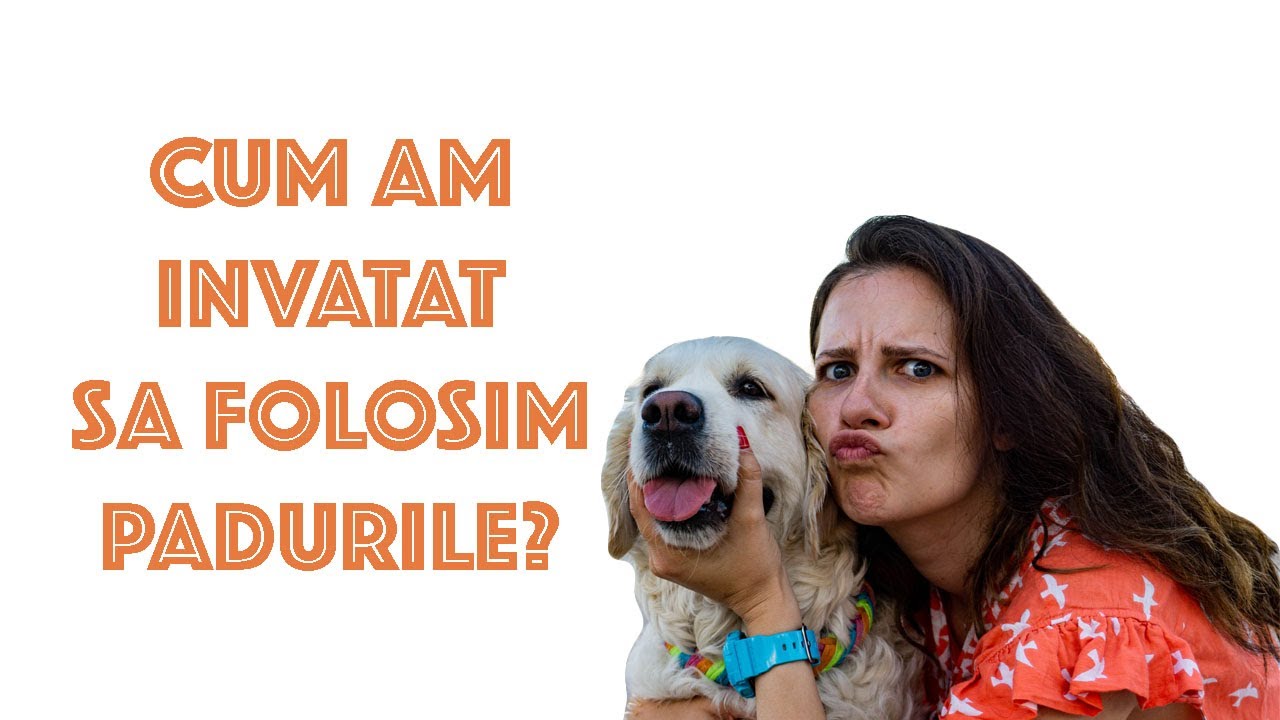 Cum invatam catelul sa isi faca nevoile la pad?