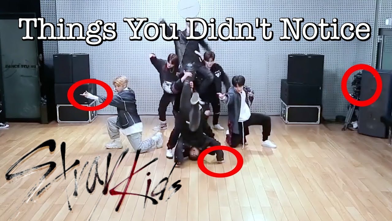 Things You Didn't Notice About Stray Kids 