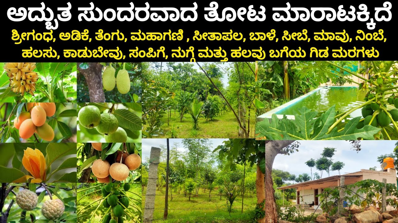 FULLY DEVELOPED FARMLAND WITH FARMHOUSE SALE NEAR NELAMANGALA KENGERI BENGALURU, CHARAN 7338474634