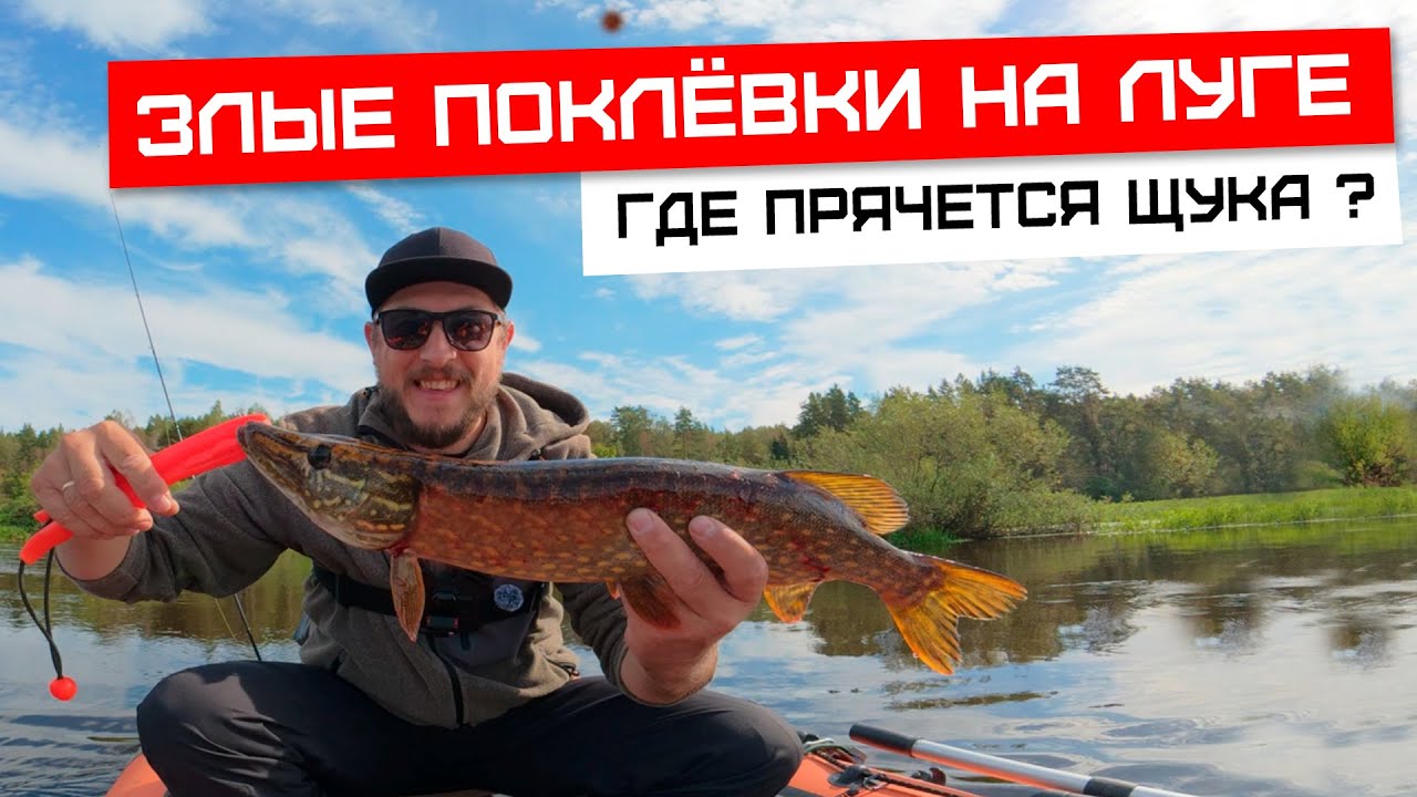 Рыбалка на Луге: где прячутся злые щуки?