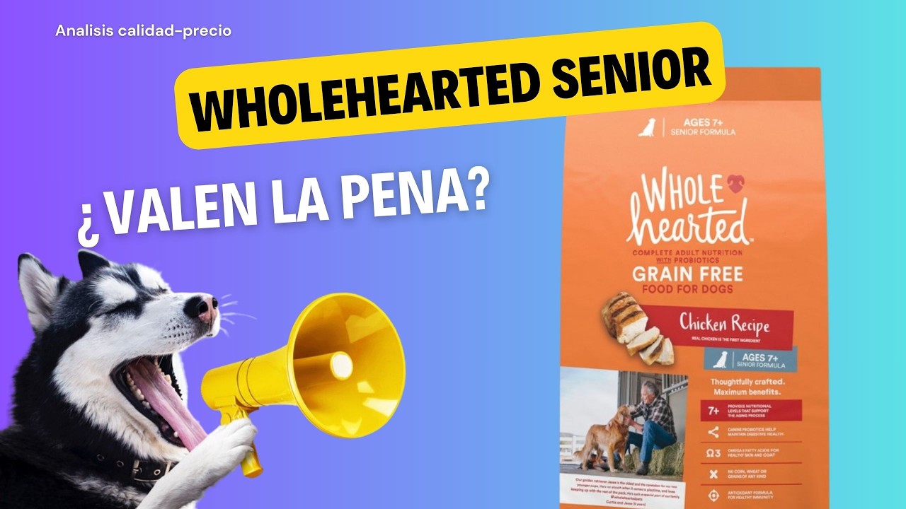 Análisis de alimento para perro: WholeHearted Senior