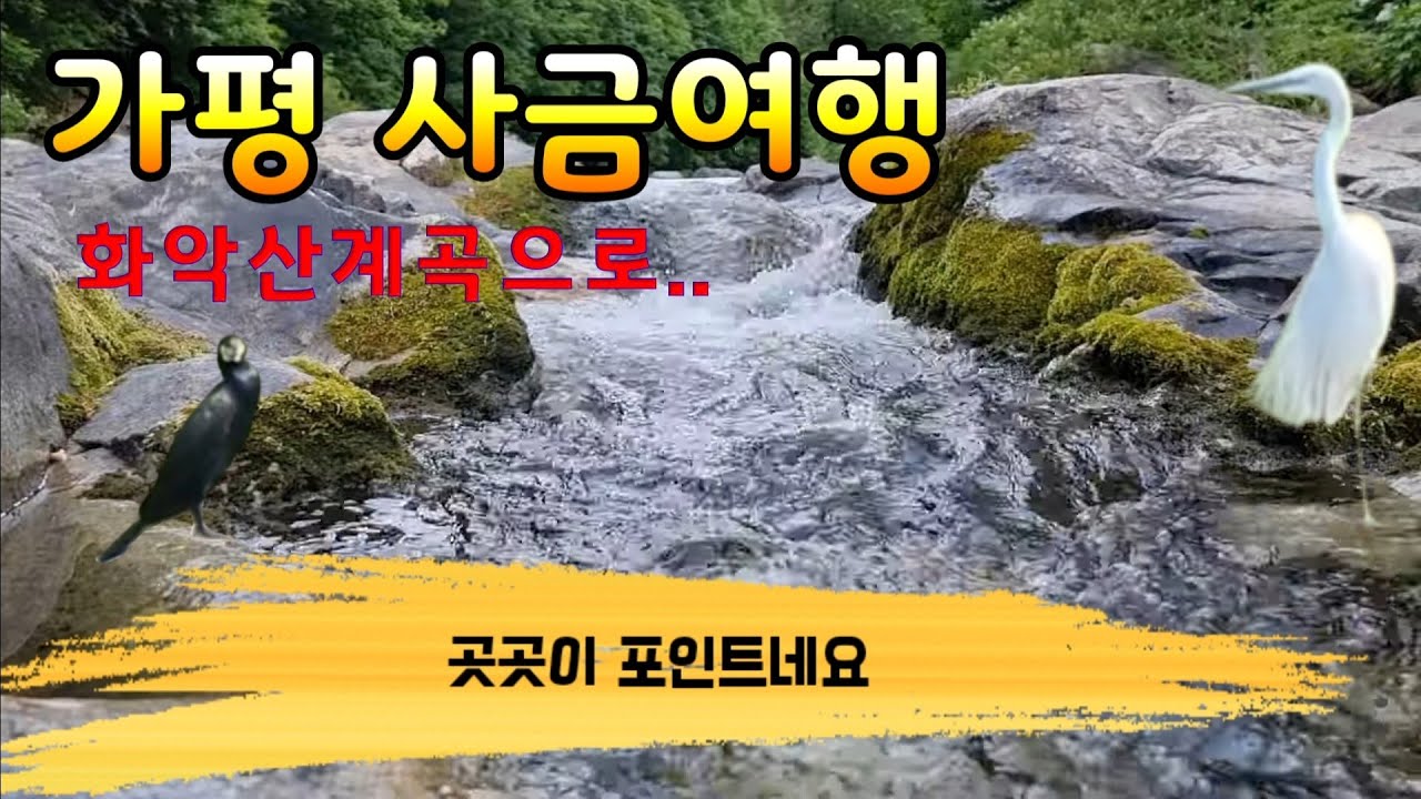 알고보니 가평에는 포인트가 많네요?! 가평계곡에서 휴가도즐기고 금도찿고~ 사금여행/사금채취/금채취