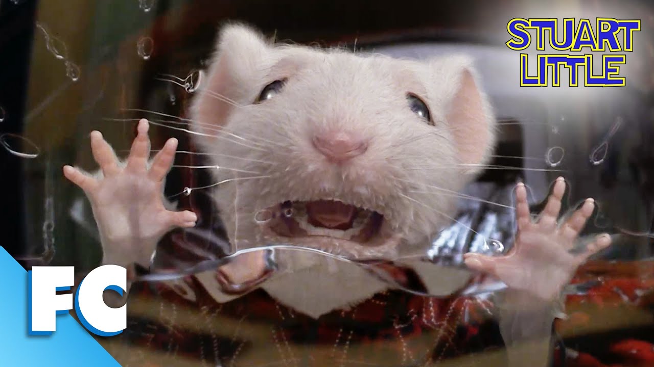 Stuart Little: Stuart Gets Stuck In The Washing Machine | Full Comedy Adventure Movie Clip | FC