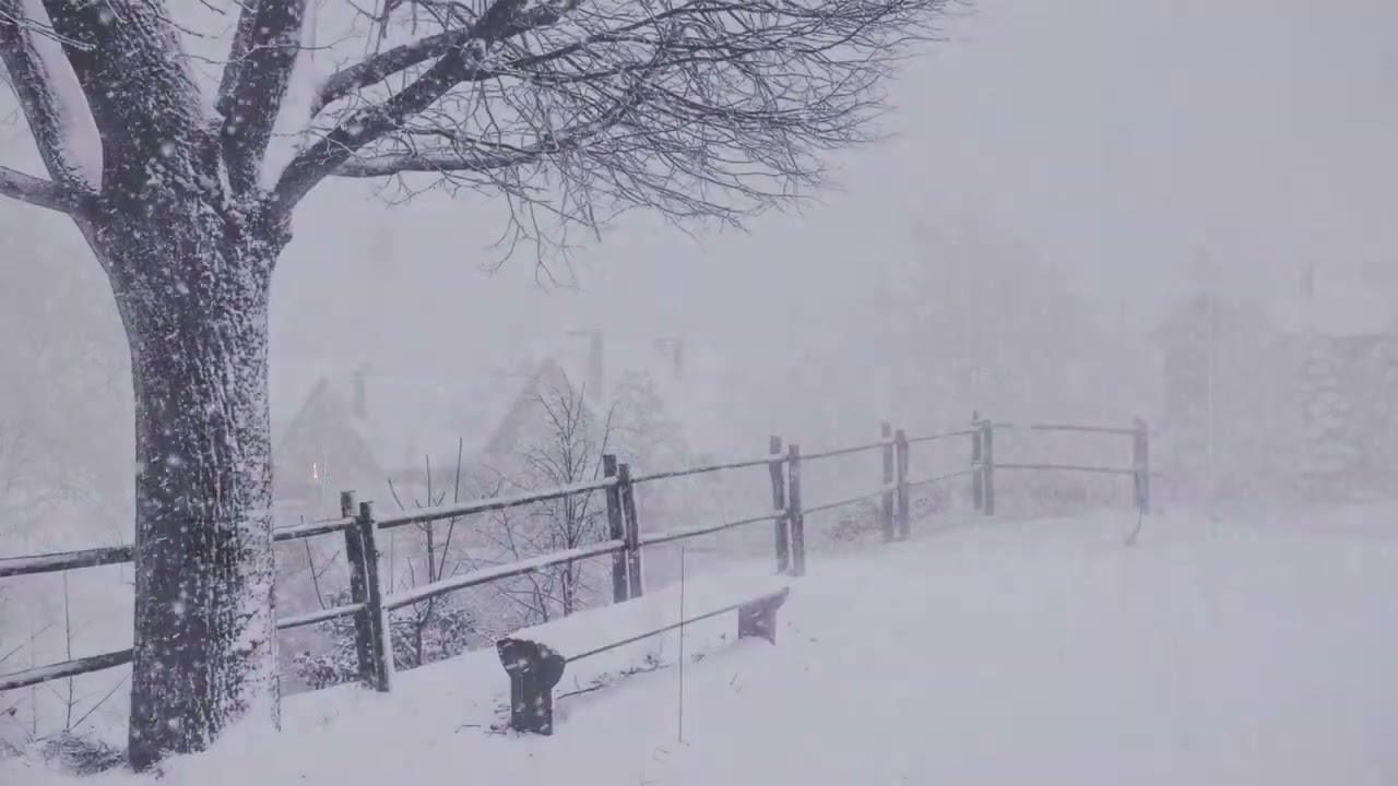 Awaiting the Great Blizzard 