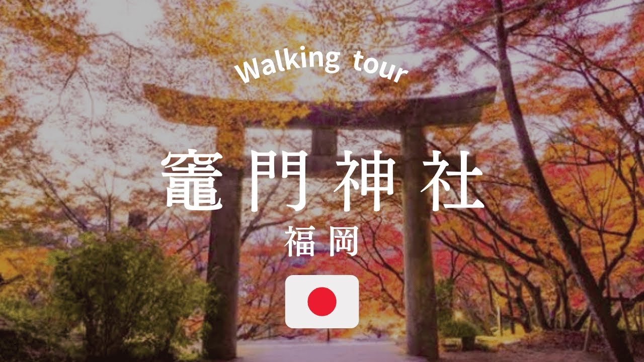 紅葉が見頃の竈門神社を散歩｜福岡県太宰府市のパワースポット｜鬼滅の刃聖地｜Walk in Japan, Fukuoka, Kamado Shrine, walking tour