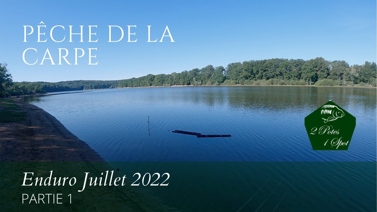 P&ecirc;che de la carpe // Enduro Juillet 2022 en lac de barrage Part.1