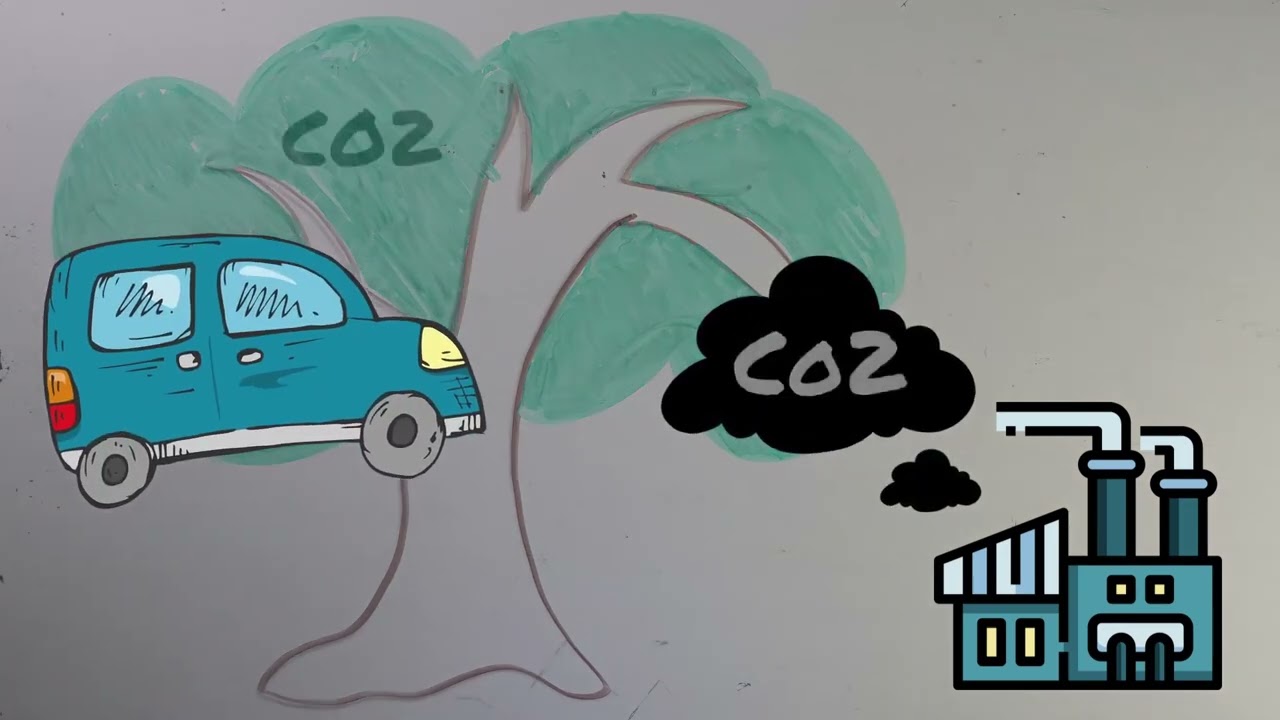 2023 Ocean Awareness Contest - The One