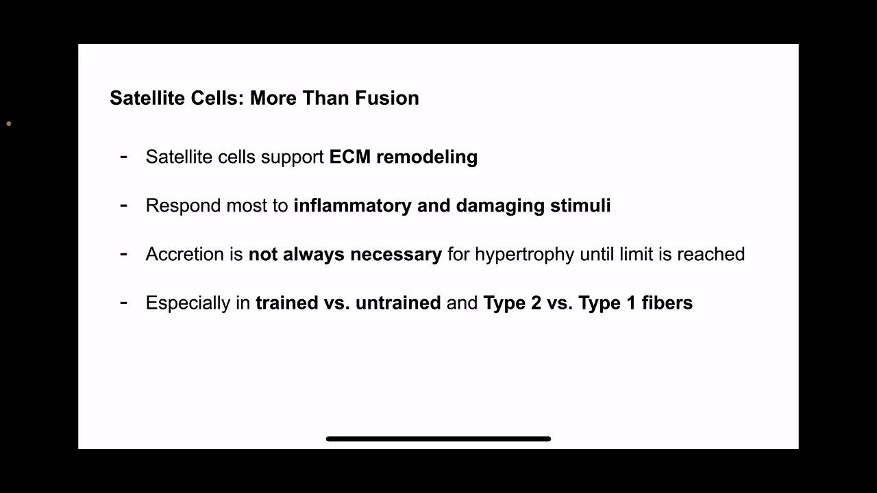 Myonuclear Flexibility Isn&rsquo;t Infinite - Eccentric Overload Breaks The Limit