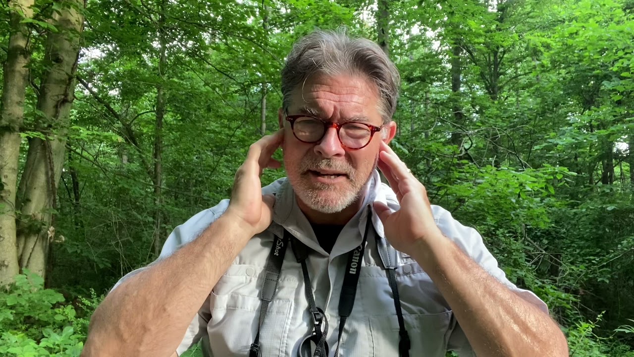 7.07.21 Outdoor Spiritual Reflection:  What Cicadas Teach Us About Timing, Order and Spiriruality