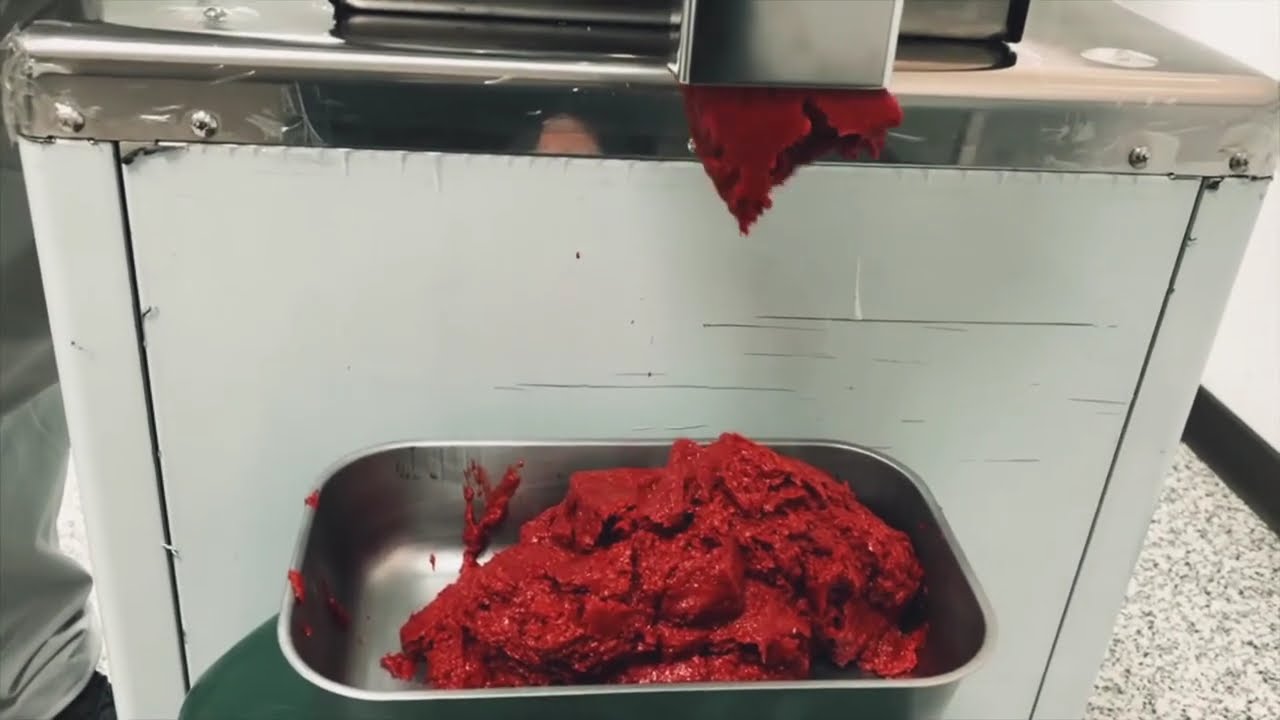 【FELI 輝綠辣椒研磨機 chili grinding machine】NBM-500 辣椒醬 chili sause